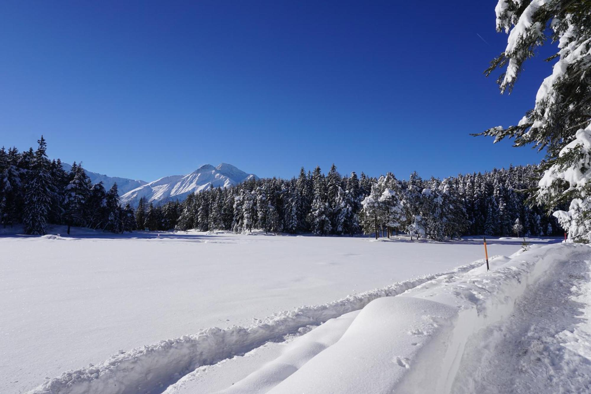 Hotel Pension Tyrol Seefeld in Tirol Eksteriør billede